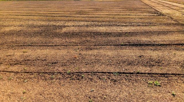 事業拡大のため土地を探しているが、見つかっても人材不足になる可能性があります