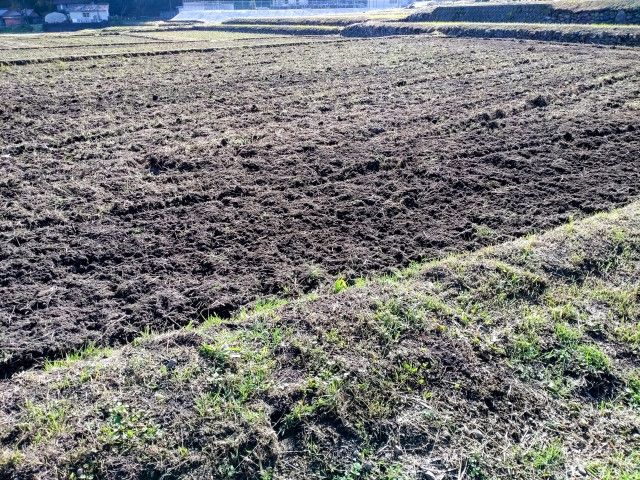 メタンガスが発生した田んぼは、どう対処するべきですか？