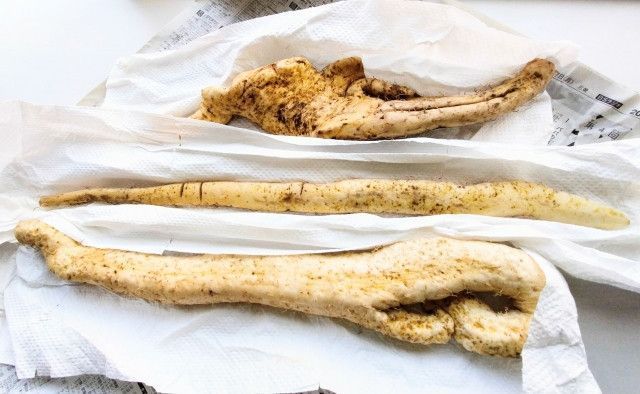 腰の上げ下ろしを繰り返し行う自然薯掘りで腰痛が…。アシストスーツはありますか?