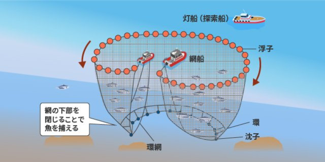 巻き網漁の図