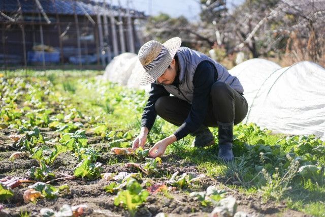 収穫作業が急になくなってしまいました。作業人数を調整するにはどうすればいいですか？