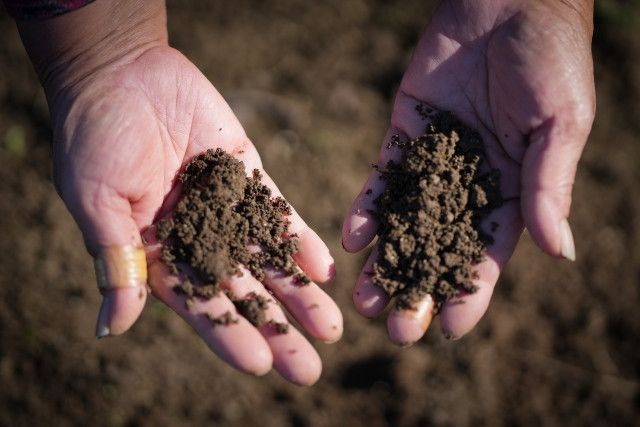 連作障害にならない発病抑止土壌とはどういうものですか