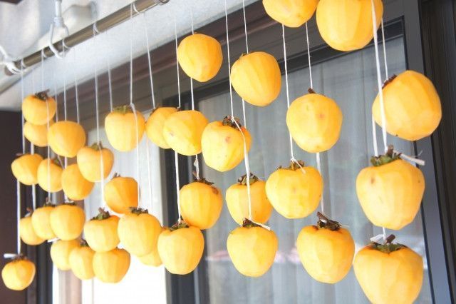 あんぽ柿を作るために乾燥機を導入したいのですが、デメリットはありますか?