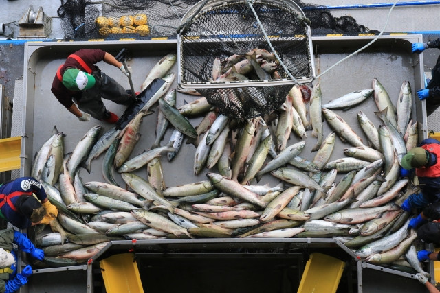 定置網漁師はどんな作業をしているのですか？