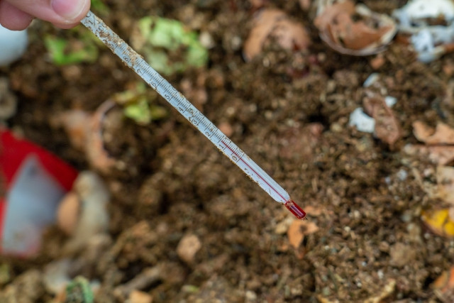 青枯病菌の死滅する温度について知りたい