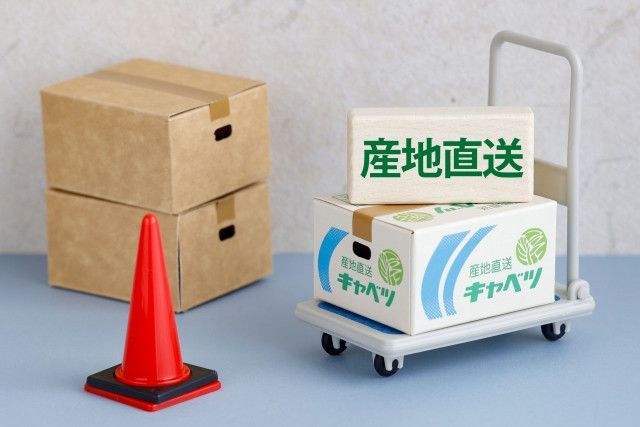 圃場面積を変えずにトマトとにんにくの収益を上げたい！低コストで「to B」向けの販路を拡大する方法は？