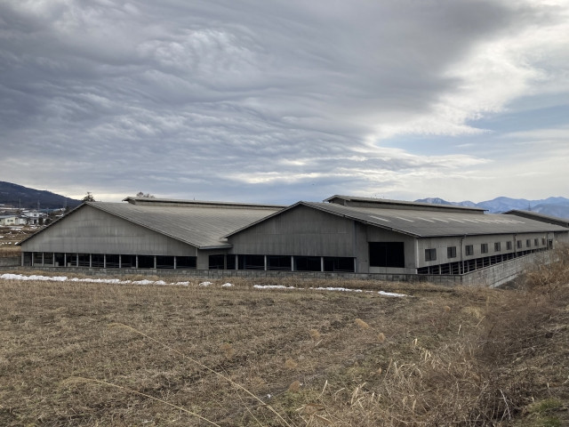 10年契約で借りた土地を「他の人に高く貸すから5年で返せ」と言われました。泣き寝入りするしかないの?