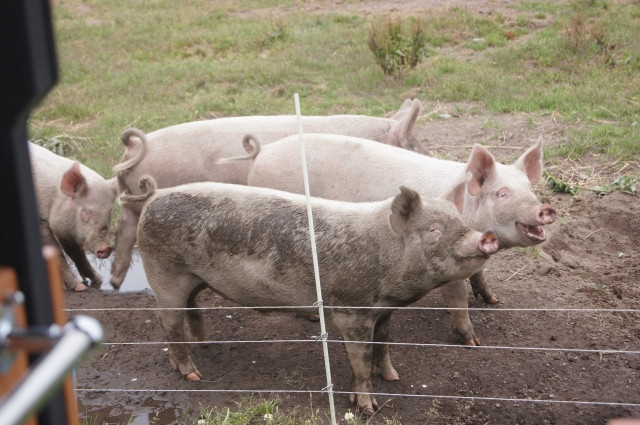 農作業を手伝う程度ですが、農作業中の傷害保険には加入した方が良いのでしょうか？