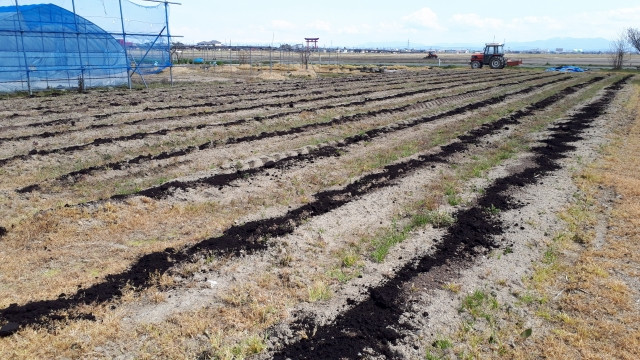 リン酸肥料が高騰するのが心配。代替肥料はありますか?