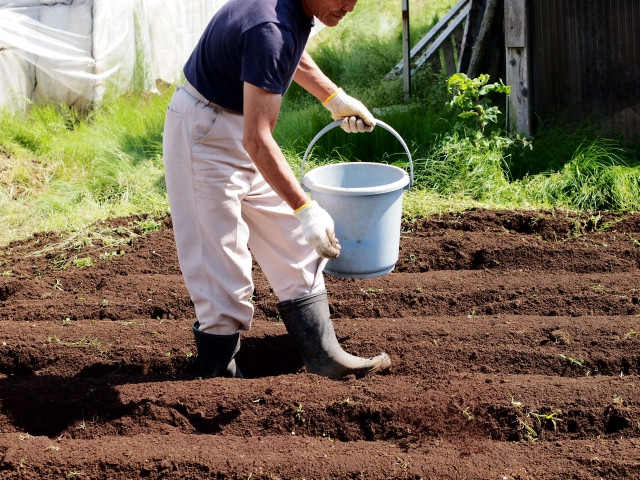 アミノ酸が青枯病対策に効果的な理由を知りたい