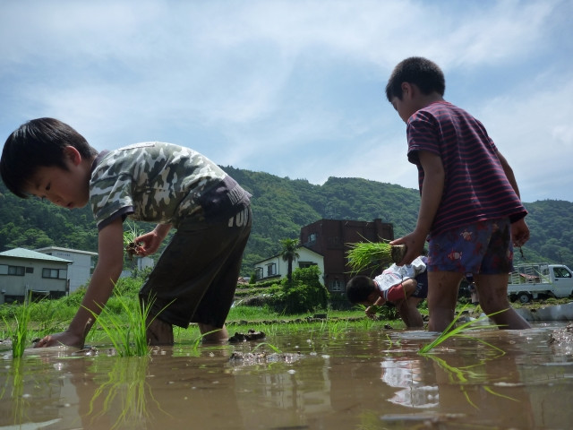 子供に「農家を継いで欲しい」と言うべき?言わない方がいい?