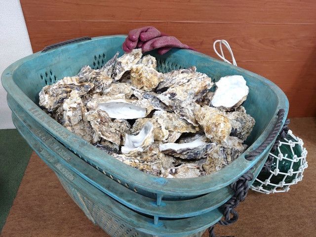 牡蠣殻の粉末を食品として販売したい。貝殻を粉砕する機械について教えてください
