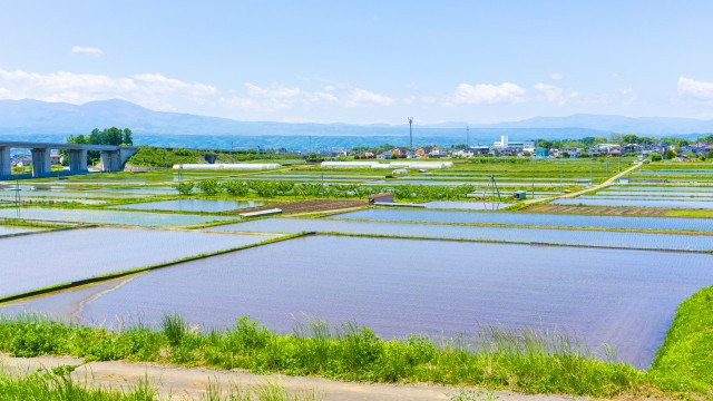 米作りを行うのに、どれくらいの水の量が必要になるのでしょうか?