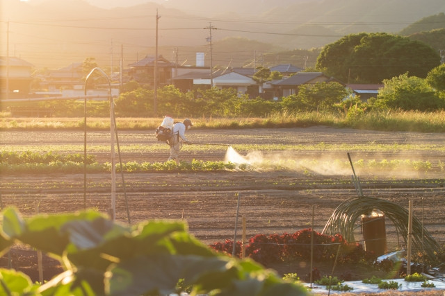 特定技能1号と2号の違いについて教えてください