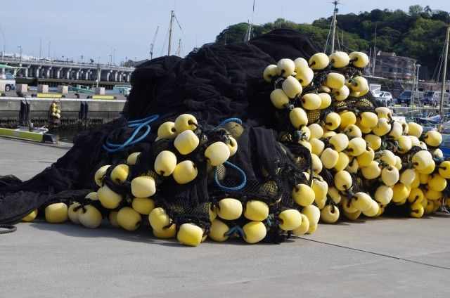 漁獲量の低下で給料が下がり漁師のなり手がいない。どうやって人材募集すればいい?