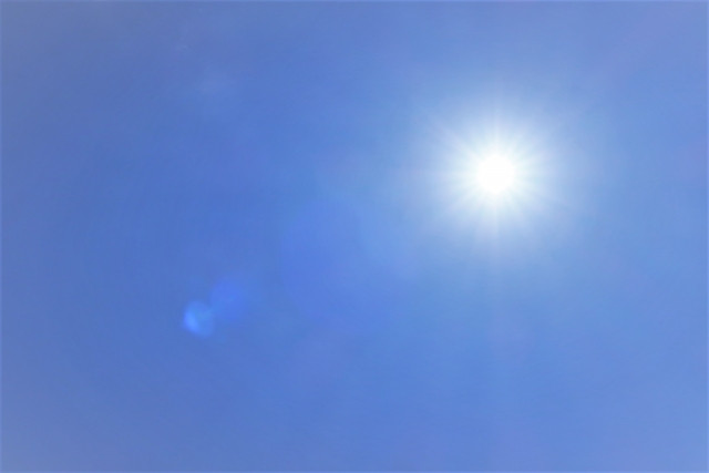 青枯病を太陽熱による土壌消毒で対策する方法が知りたいです