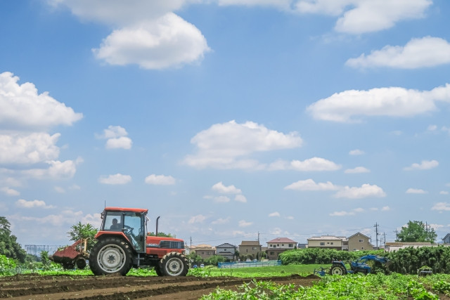 地元の印刷会社のデザインがいまいち。都会の会社に依頼したいが、農園の良さを伝えられるか心配…