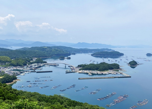 鹿児島県ではどんなブリ養殖をしているのですか？