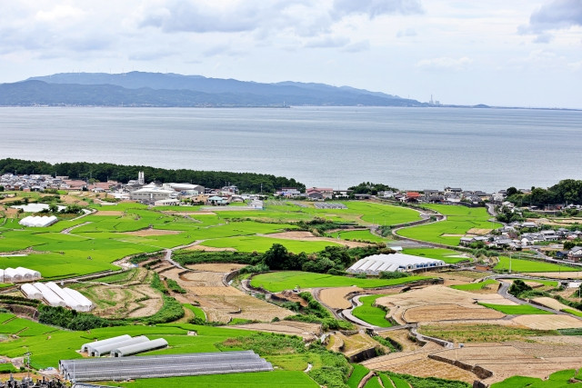 技能実習生の受け入れ可能な職種は？農業や漁業ではどんな作業を依頼できる？