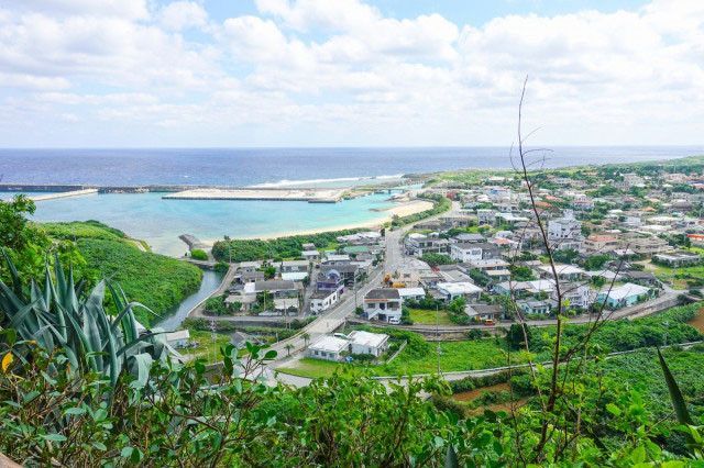 第2話 代表取締役 上野耕平 「 トラブル頻発!? 沖縄離島のサトウキビ事業」