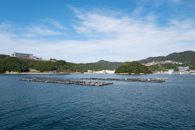 他の地域では栽培漁業でどのような工夫をしているのですか？