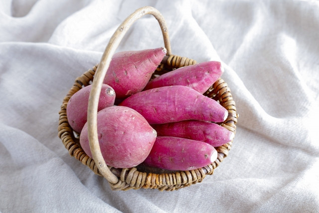 サツマイモの品種別に収穫時期を見極める方法を教えてください