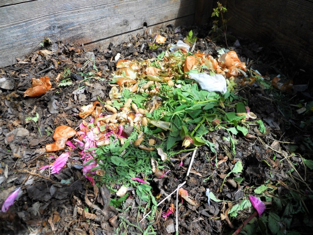 堆肥づくりの臭いが原因で、クマを呼び寄せてしまう可能性はあるのでしょうか?