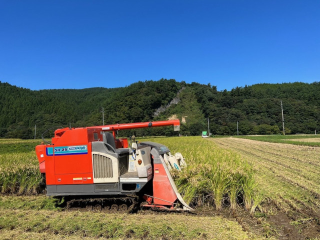 稲藁を刈り取り、そのまま穂先だけ脱穀できるコンバインは、米の収穫にかかる時間を飛躍的に短くした