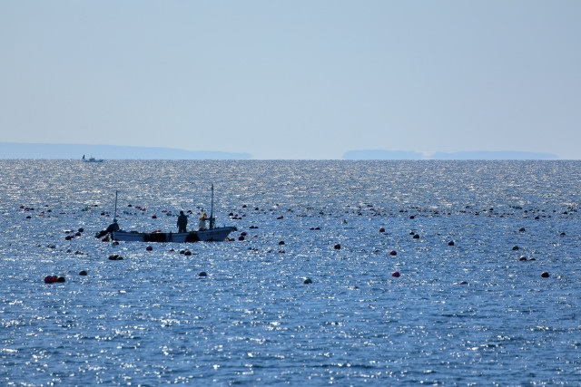小型底定置網に興味があるので、どんな漁法なのか知りたいです