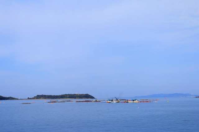 マグロの養殖に適している場所とは?条件を教えてください