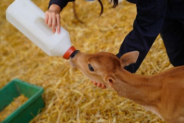子育てと介護で作業から離れなければいけない。酪農ヘルパー制度は介護にも適用されますか?