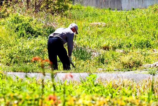 在留資格の一つである特定技能1号について詳しく教えて