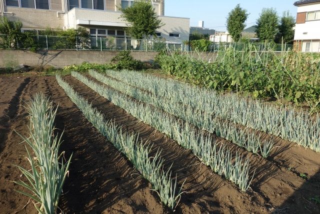 固定資産税が高いので赤字続き。息子に継がせたいが何かいい税金対策はありませんか?