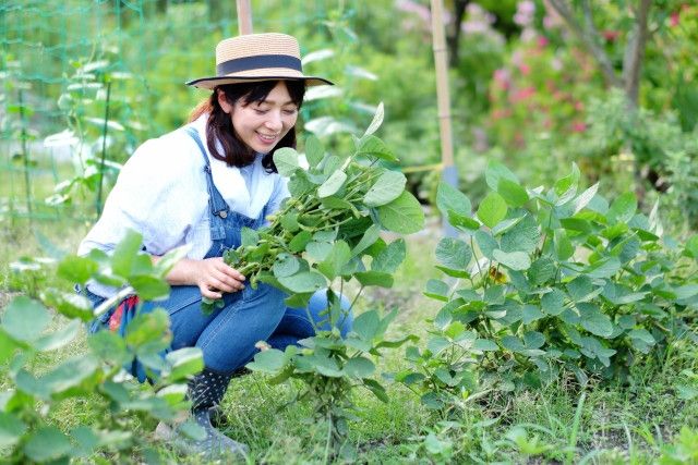 「家族が話を聞いてくれない!」女性の立場を向上するためにできることは?