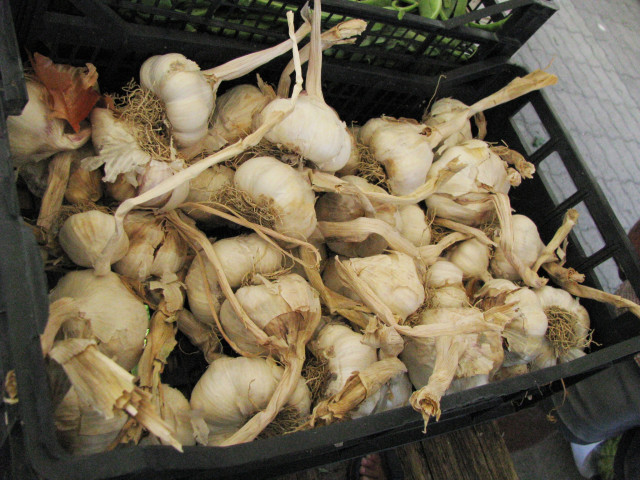 にんにくを直販したい！代理で販売してくれる業者はありませんか？