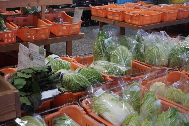 直売所で販売する野菜の袋にチラシを折り込みたい。表示・表現上で注意すべきことは?