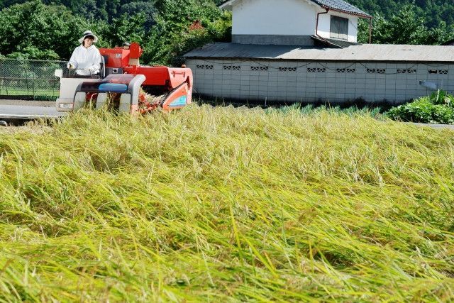 JAの女性部に参加してと誘われて困ってる。カドが立たない断り方は?