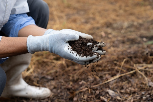 バーミキュライトを使って土壌改良したい！注意点を教えて