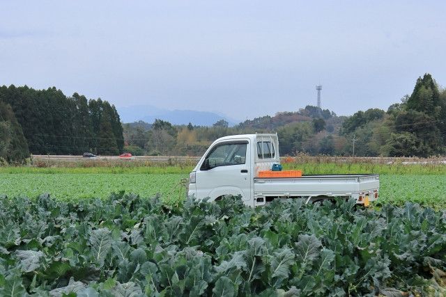 飲食店へ納品する時間がない。当日に配送してくれるサービスはありませんか?