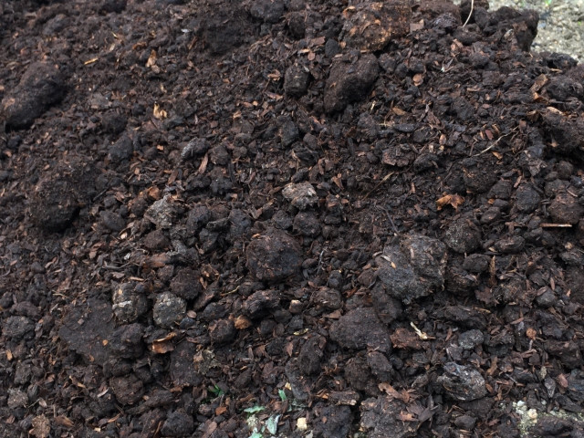 サツマイモ栽培での牛ふんの役割や使い方を知りたい