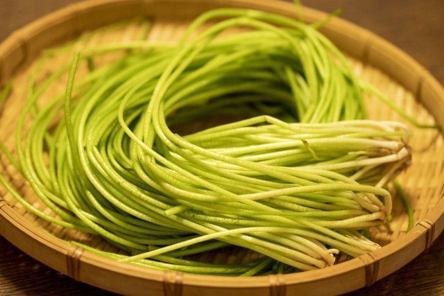 珍しい台湾野菜を日本で育ててみたいのですが栽培は可能ですか?注意点は?