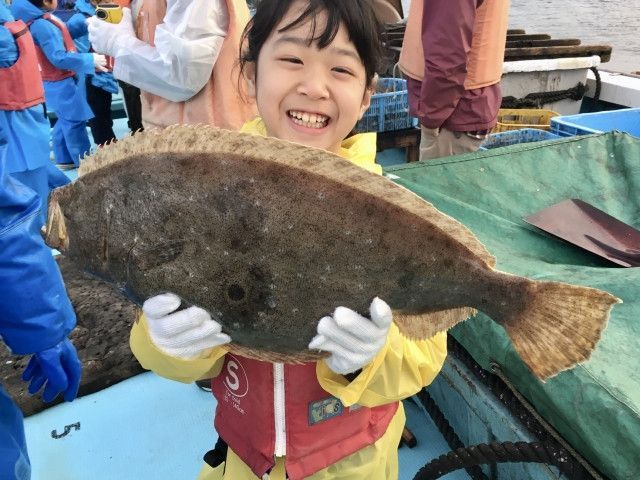 地元の小学校で魚食の魅力を伝える授業を行いたい!どうアプローチしたらいいですか?