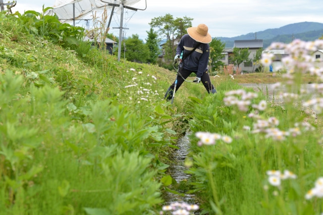 草刈機が水に浸かってエンジンがかからなくなった。自分で修理できますか?
