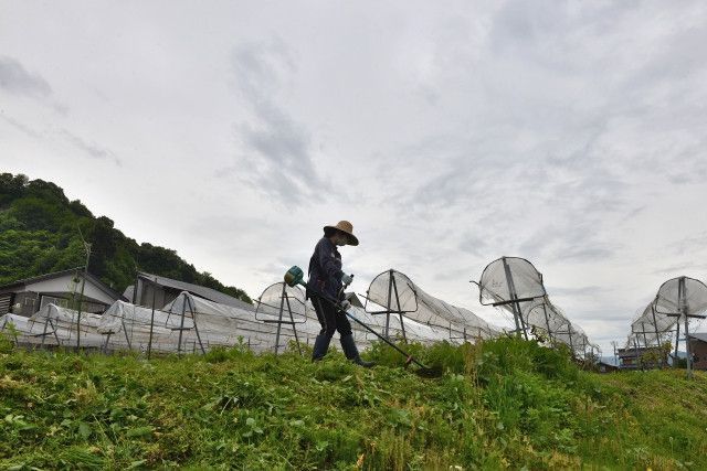 女性など力の弱い農家でも扱いやすい草刈り機を教えてください