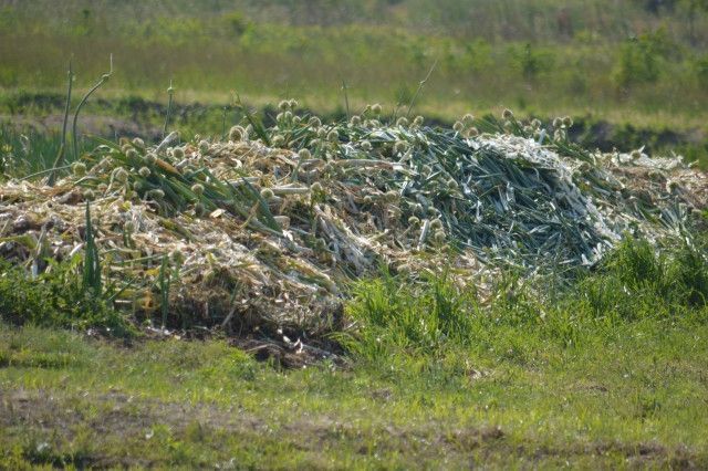 廃棄していた野菜を自家製堆肥に変えたいので、作り方を教えて欲しいです