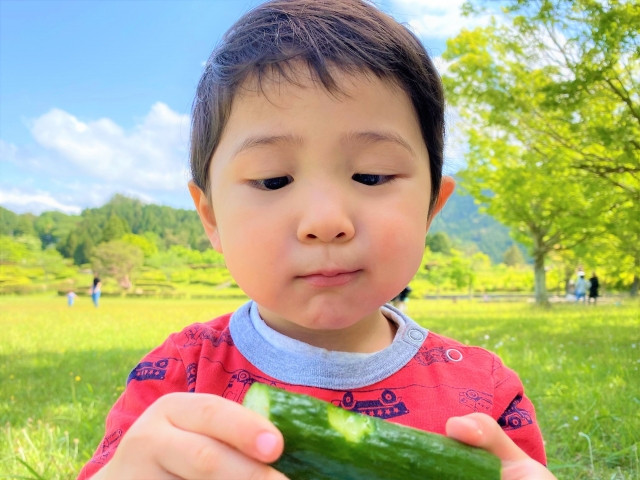 SNSで野菜好きのフォロワーを効率的に増やすには?