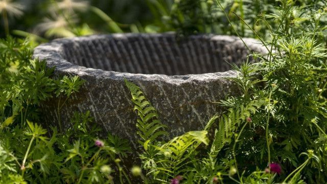 浅井戸を掘って水道代の費用を下げたいです。どうすればいいのでしょうか?