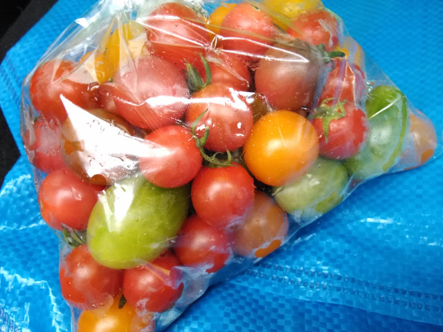 トマトを栽培していますが、皮がやわらかく長距離輸送にも耐える品種はありますか？