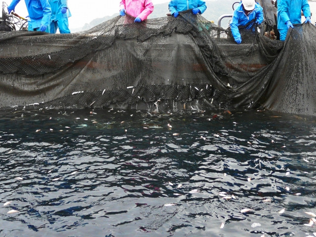 定置網が「環境に良い漁業」だと言われるのはなぜですか？