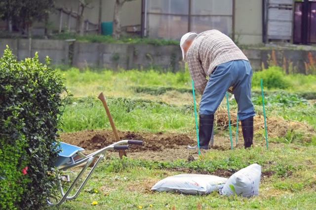 技能実習制度の移行対象職種・作業の審査基準とは?